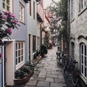 Meet your Posher, Maddison